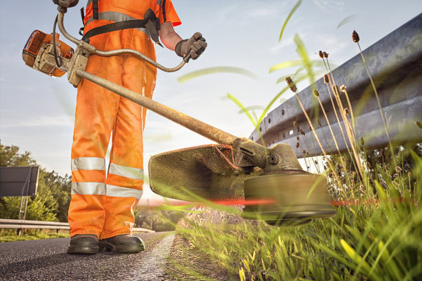 Lawnmowers is a Great Invention for Mankind.